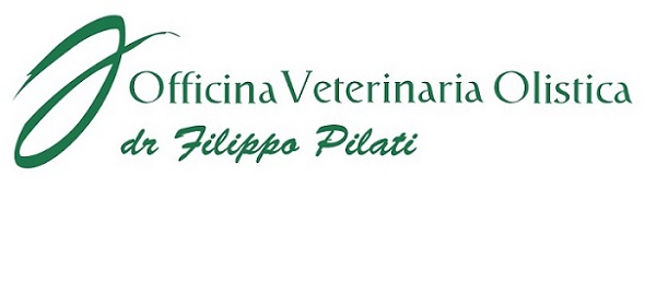 PRESENTAZIONE